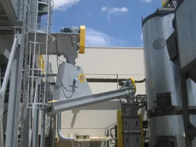 Biomasa